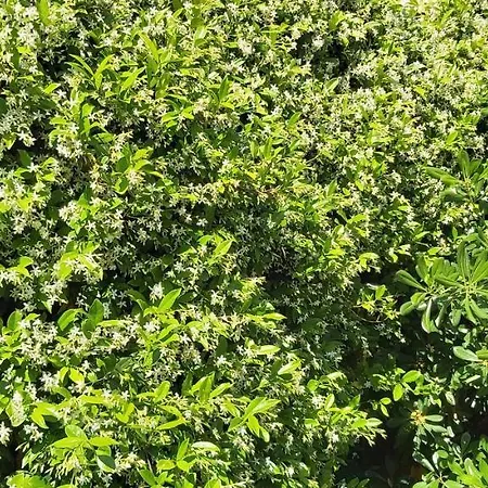 Διαμέρισμα Johnny Croatia With Hot Tub *